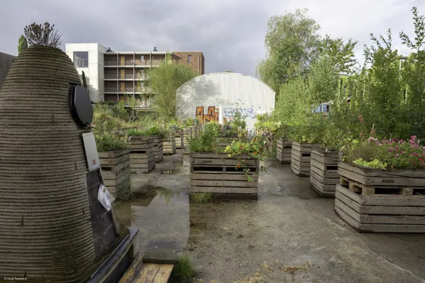 eetbare stad eetbaar groningen