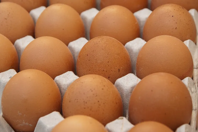 eggs 1882837 960 720 eieren