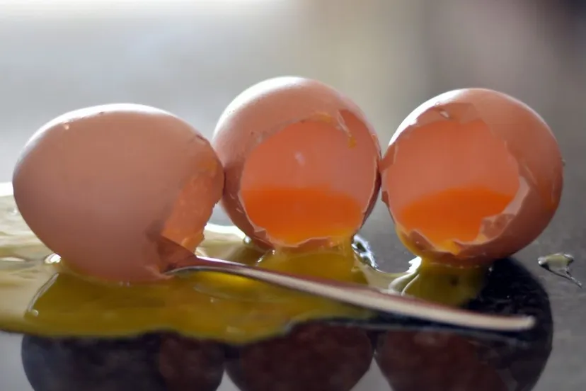 empty containers eggs yellow yolk 475128jpgd ei e1541015593195