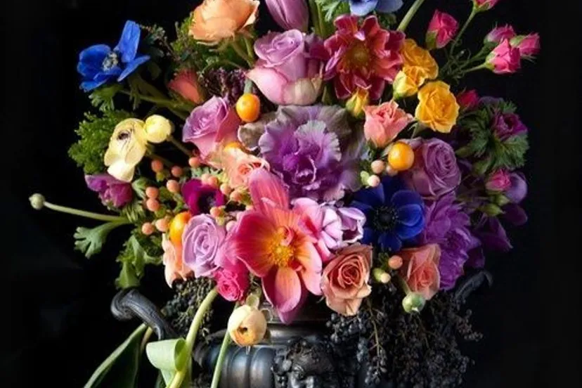 expositie examenwerk bloem groen styling terra groningen