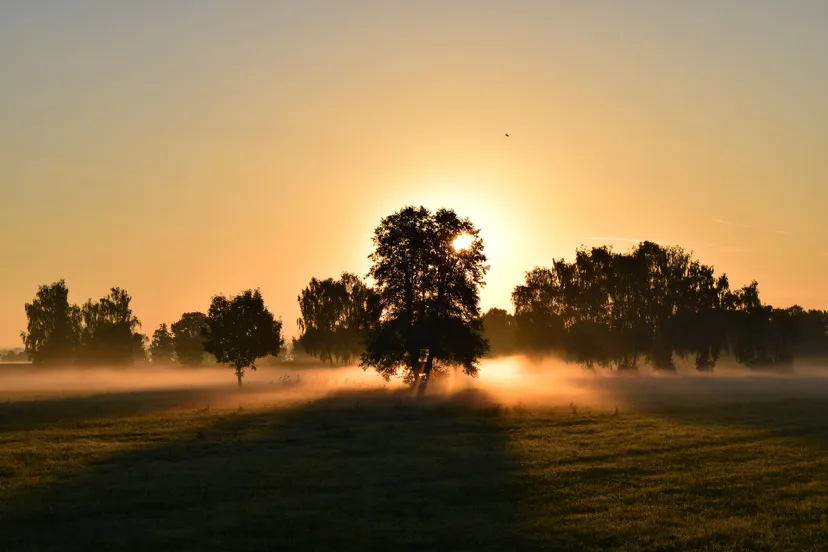field 1634734 1920 mist bomen zon ulrike leone via pixabay