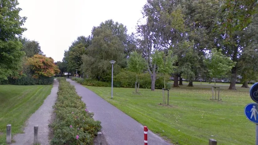 fiets en voetpad park selwerd