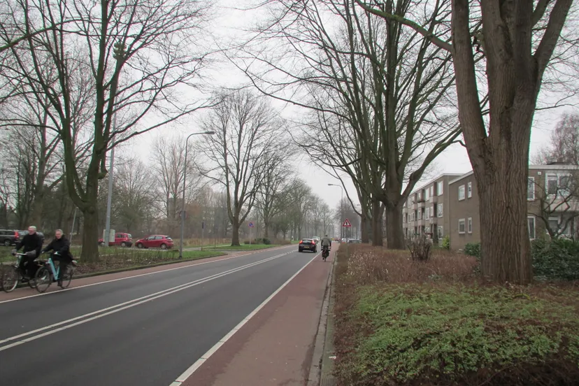 fietsers bomen en helperzoom 16 12 2016