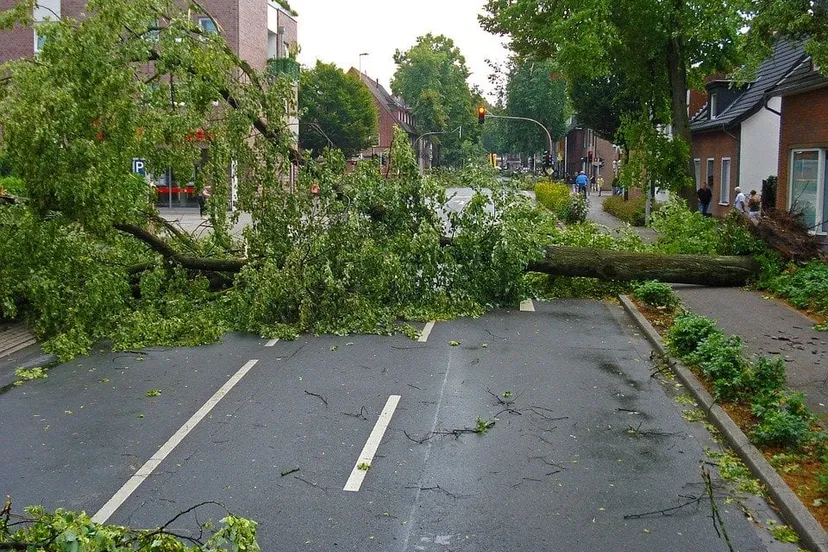 forward 567664 960 720 storm boom schade