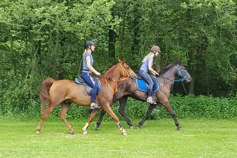 foto enduranceesther maring en marielle wieringa
