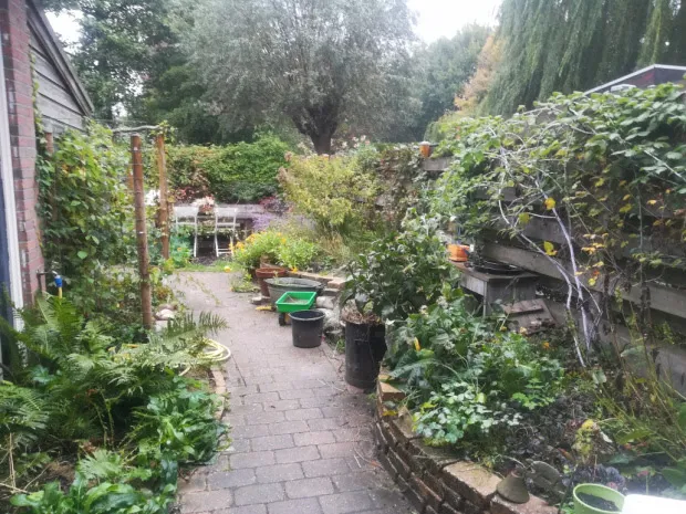 foto operatie steenbreek groningen