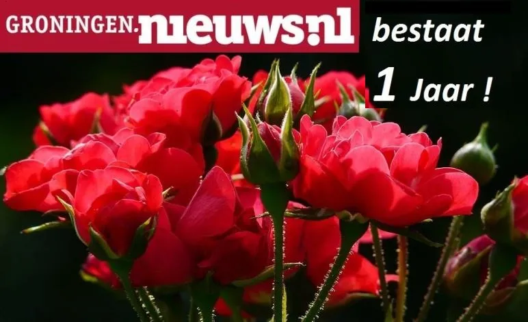groningennieuws 1 jaar knipsel 21