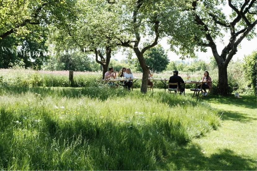 grounded buitenlunch boomgaard grounded expedities