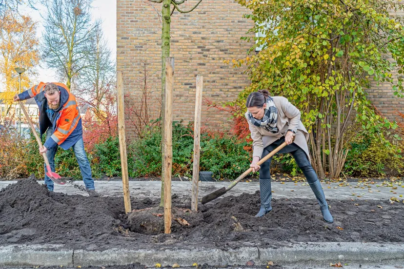 hagedisstraat paddepoel bert lanting