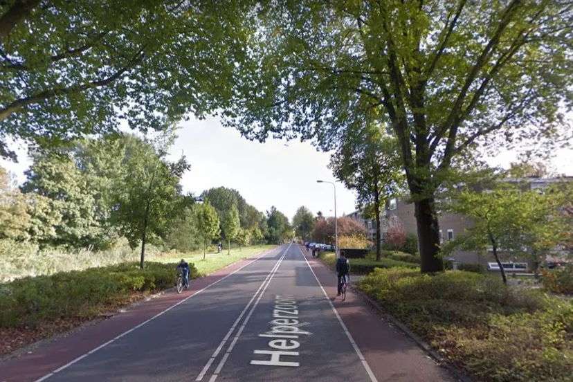 helperzoom helperbrink goeman borgesiuslaan