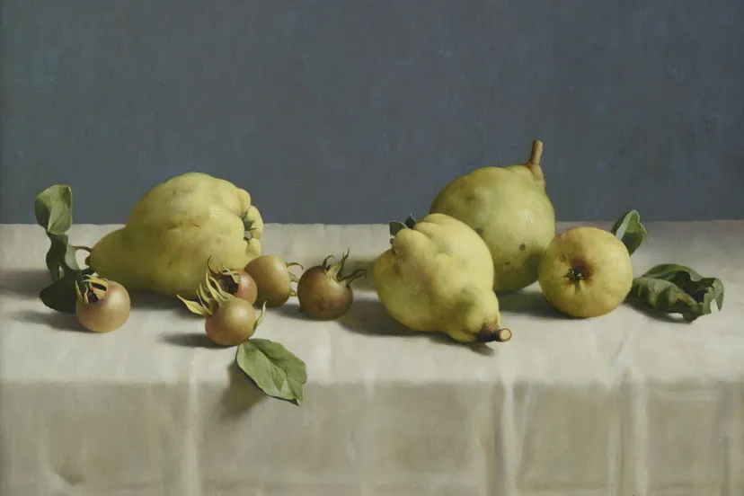 henk helmantel 1945 stilleven met kweeperen 2012 collectie museum more