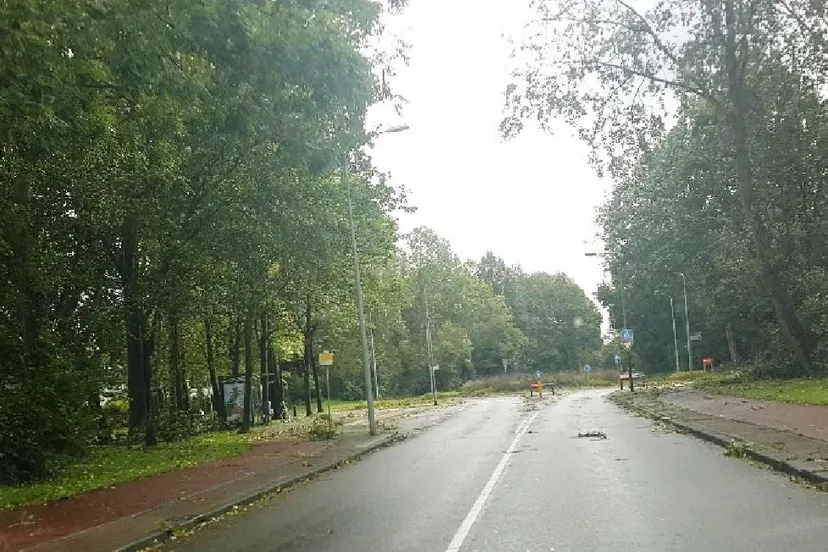 herfstweer onstuimig lewenborg