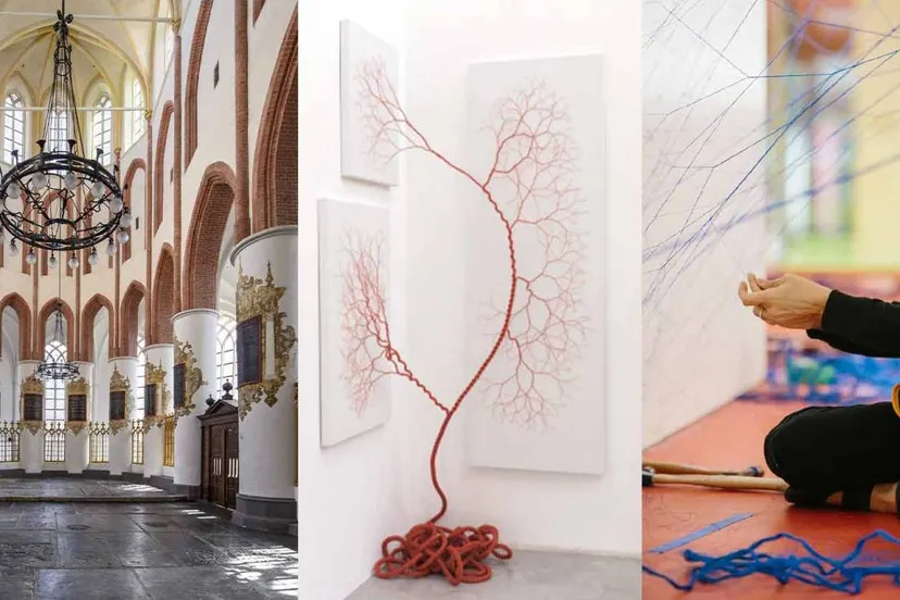 hoogkoor akerk ciclotrama impregnation 2019 janaina mello landini