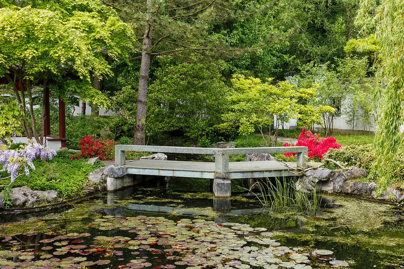 hortus haren 03 cc by sa 40 dominicus johannes bergsma