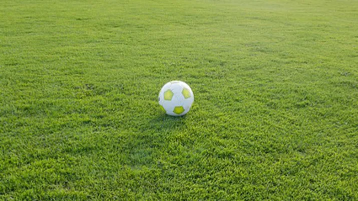 hq voetbal bal publiek domein 715x402