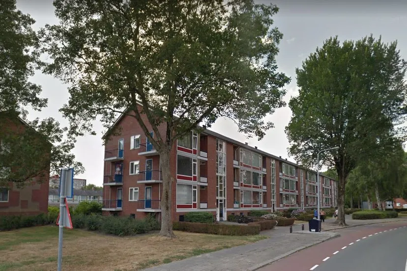 iepenlaan lijsterbeslaan