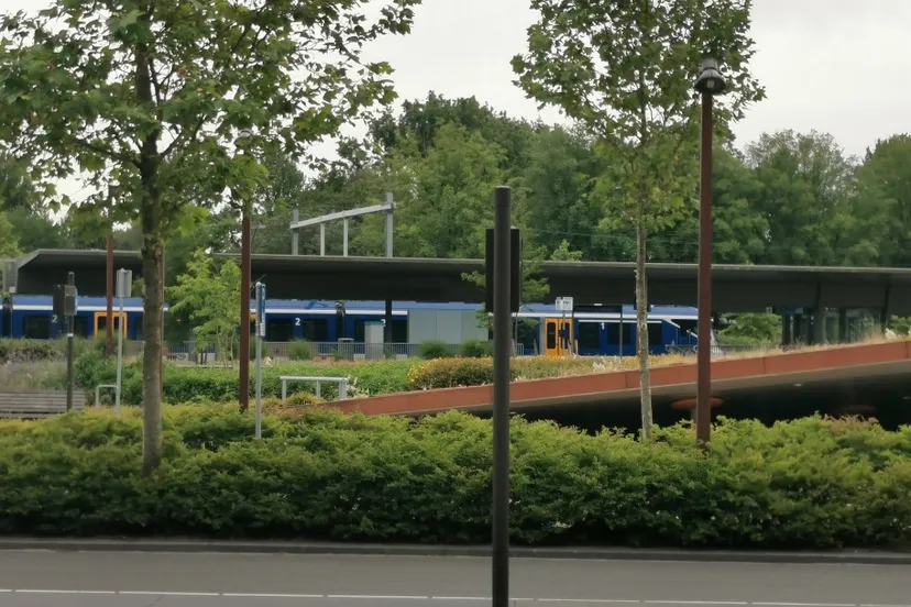 img 20190704 203037 resized 20190729 074503328