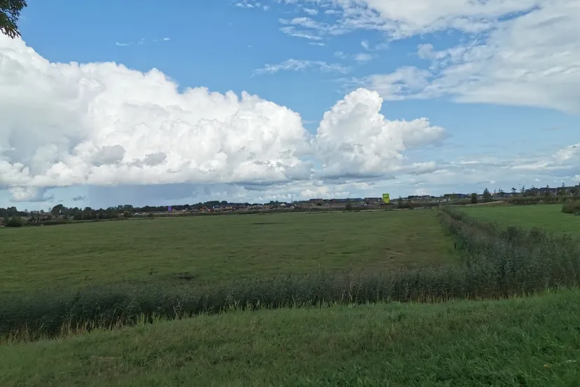 img 20190907 143716 resized 20191203 073533466