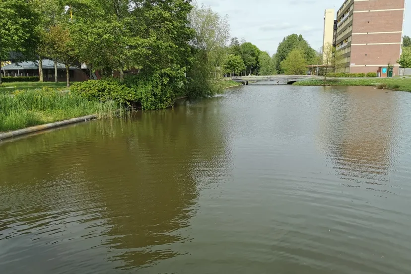 img 20200518 165548 resized 20200518 053534435