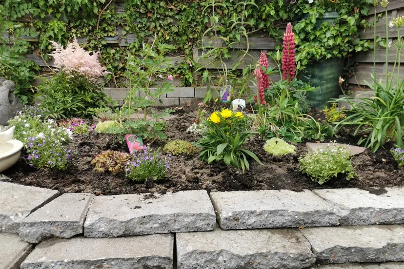 img 20200606 134708 resized 20200606 015119764