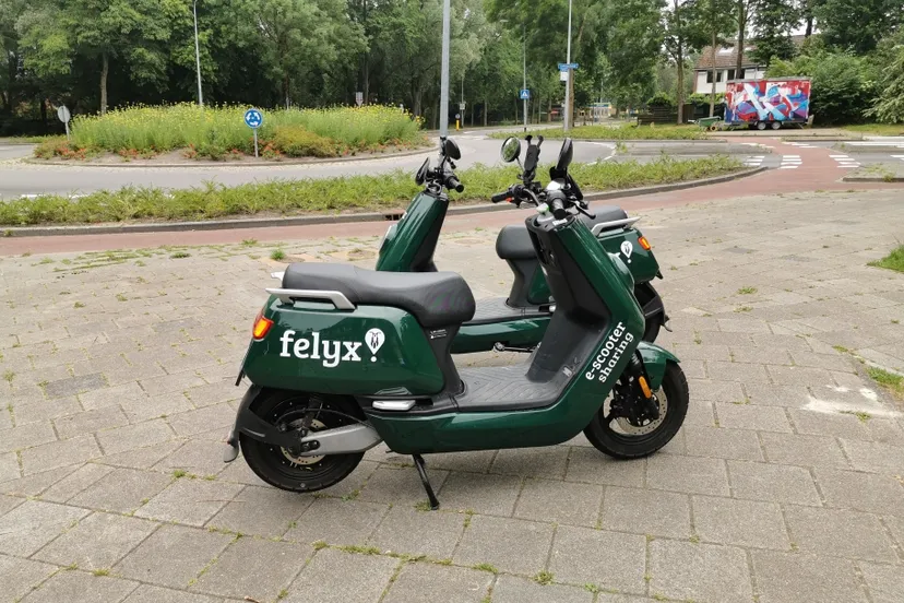 img 20200614 155020 resized 20201104 031203579