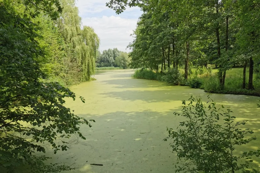 img 20200627 124915 resized 20200627 033158108