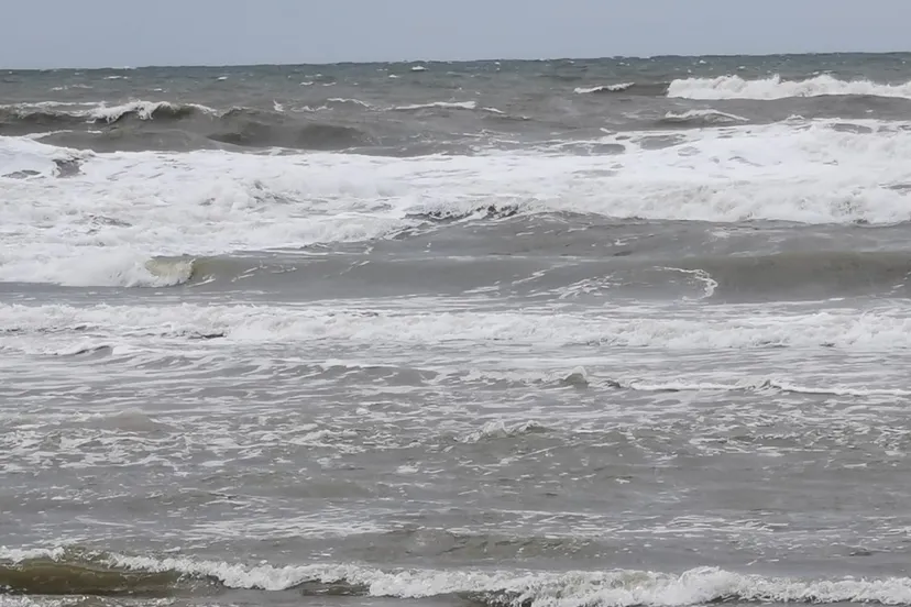 img 20200728 175317 resized 20200801 070508487