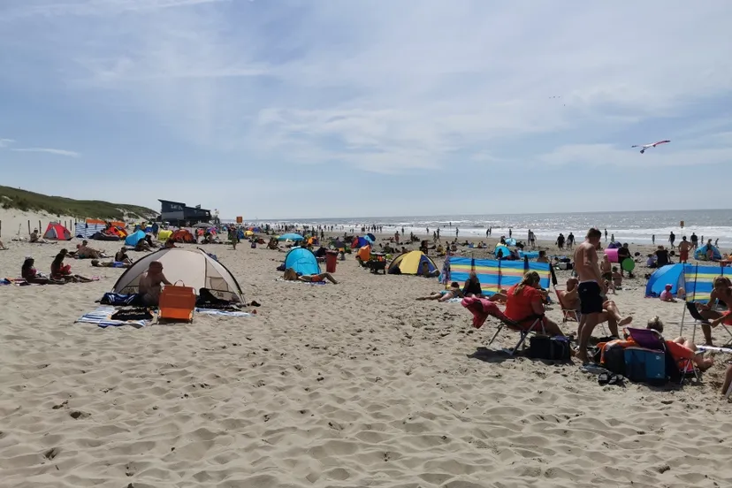 img 20200730 151600 resized 20200801 065652600