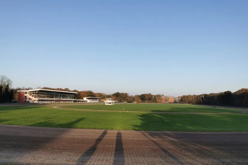 img 20201108 153454 resized 20201115 103945828 stadspark