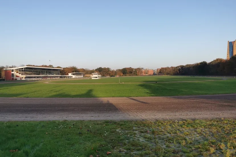 img 20201108 153552 resized 20201115 103136431