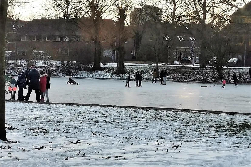 img 20210211 163147 resized 20210211 052845666 2 vijver oosterparkwijk