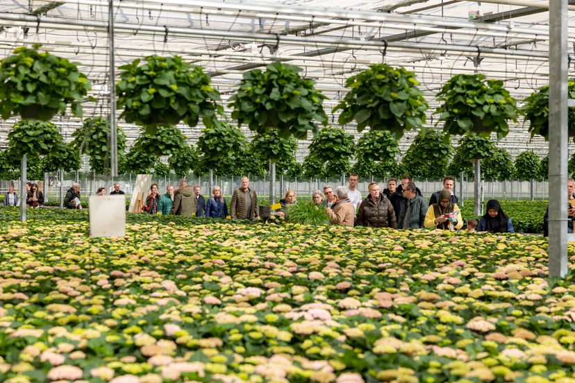 img 3507 at rolfvankoppenfotografie 1