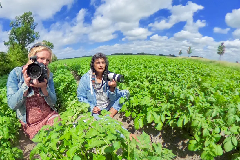 ingrid oyevaar sarahstiles boeren op het hogeland