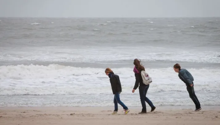 jwiaq5qy30ihkcqrbxsnmz5vl stormzeeherfstwindhqnovum 715x408