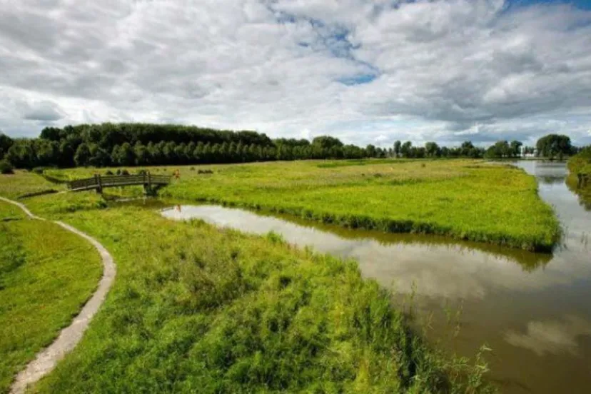 kardinge beweegcaf 29 oktober gemeente groningen