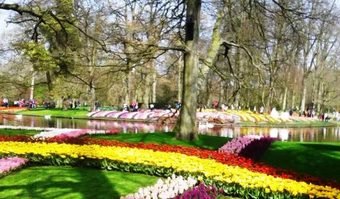 keukenhof 1