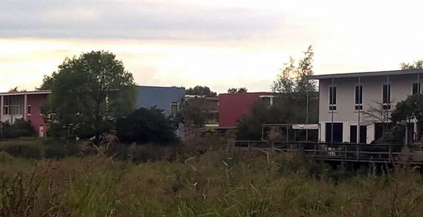 knipsel drieland picasa