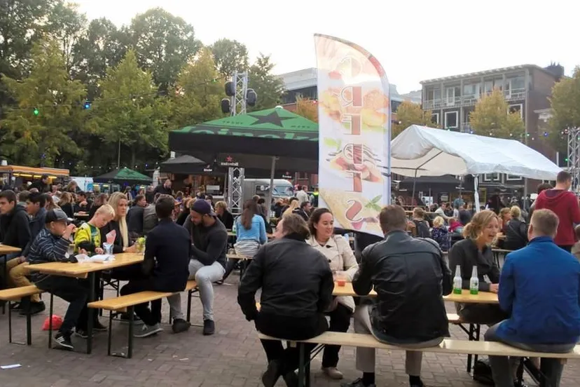 knipsel overzicht plein picasa 1