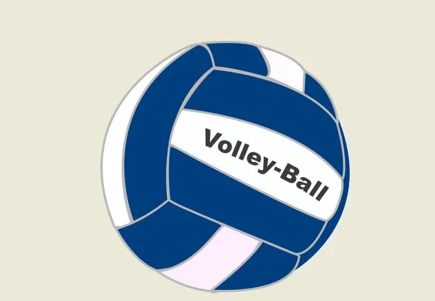 knipsel volleybal