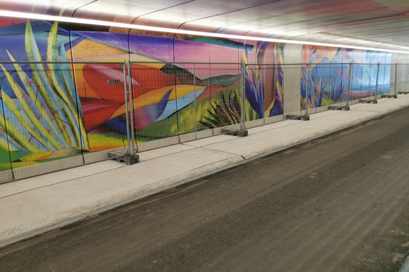 kunst tunnel zuidelijke ringweg