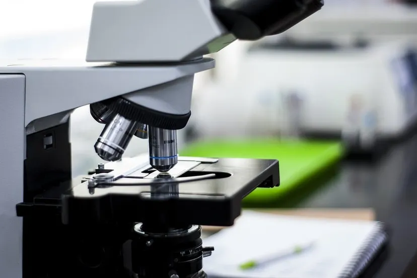 lab 3498585 960 720 onderzoek wetenschap