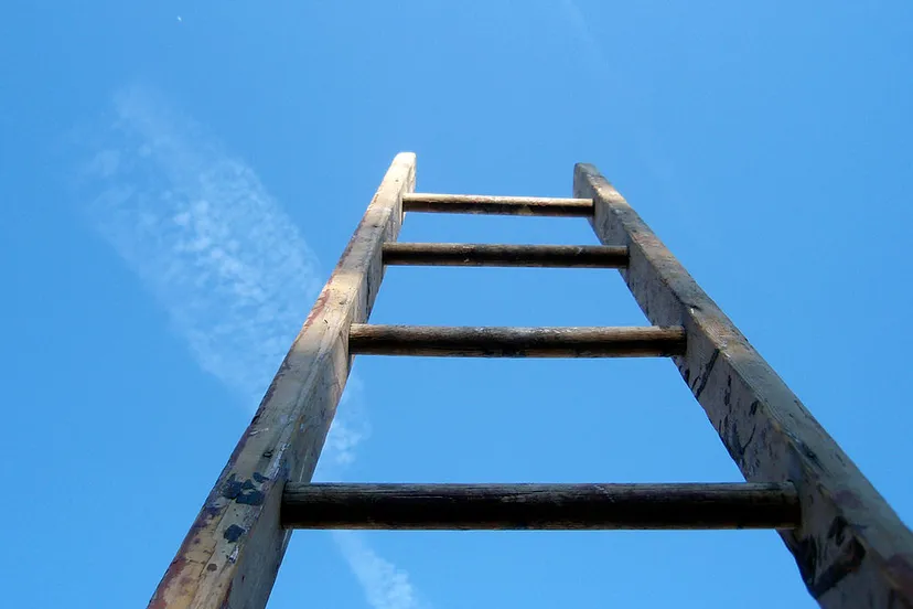 ladder cc by 20 wikipedia commons mykl roventine