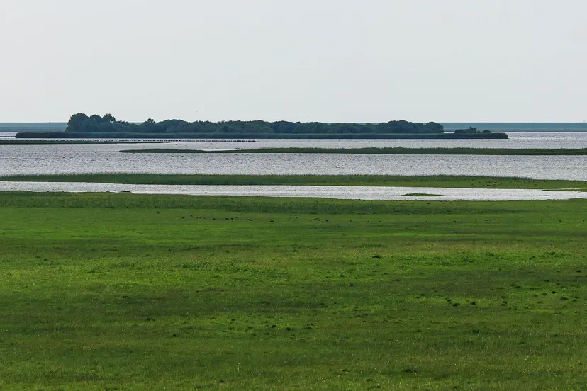 lauwersmeer cc by sa 40 dominicus johannes bergsma