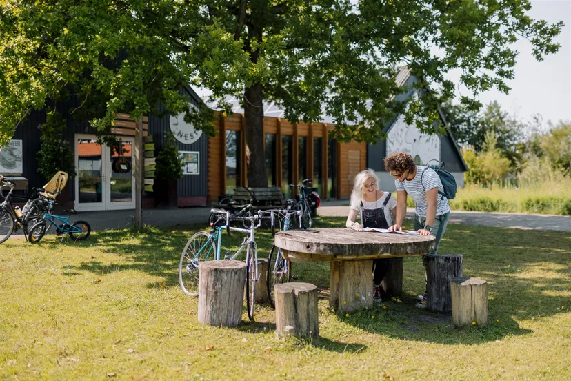 lauwersnest marleen annema