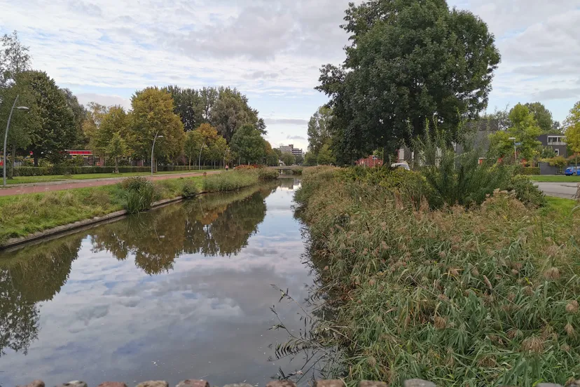 lewenborg wisselvallig weer