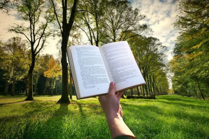 lezen boek fotograferen phxerecom cc0