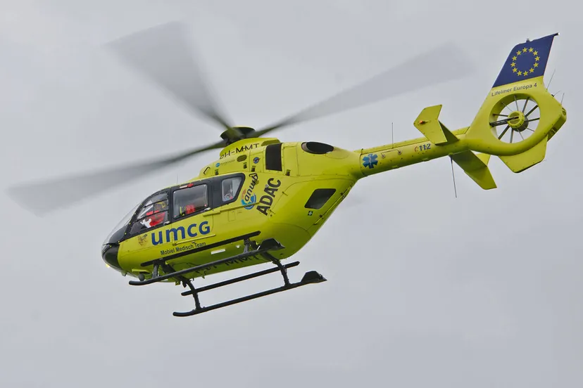 lifeliner4
