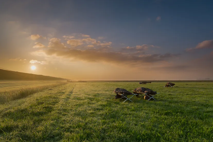 logeren aan de waddendijk noordpolderzijl dag van het wad
