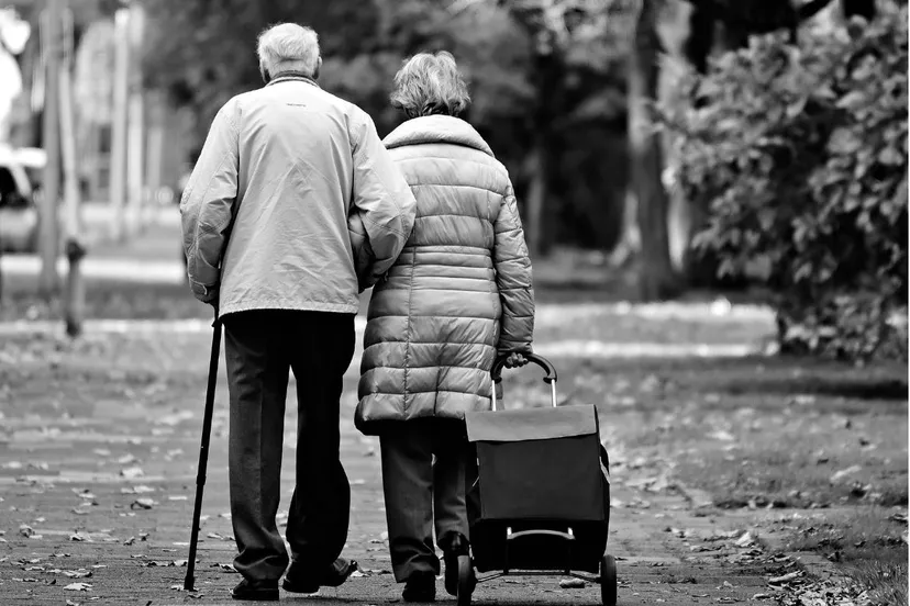 mabel amber via pixabay