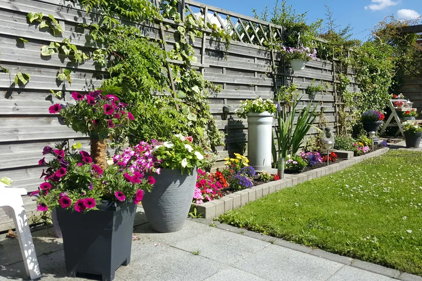 mooi weer eigen tuin